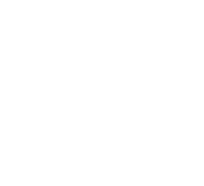 icon zalo